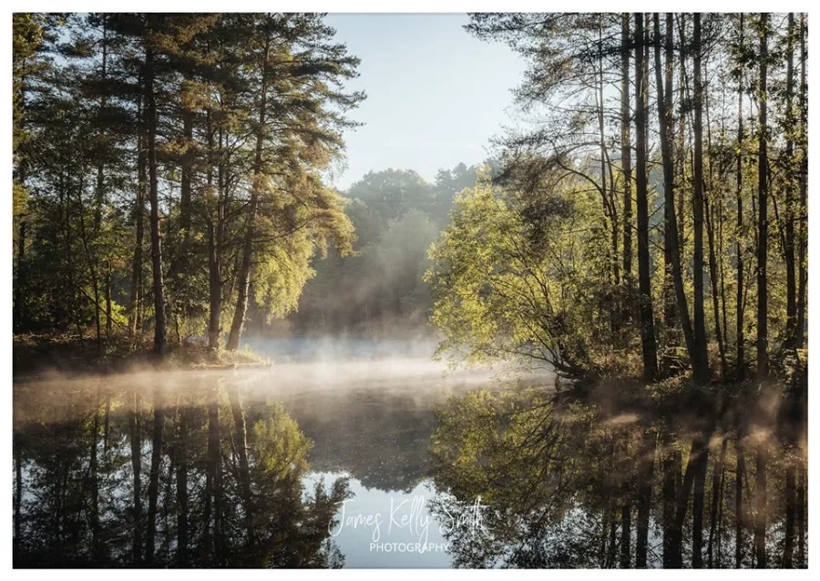 Vast mountain forest stretching to distant peaks