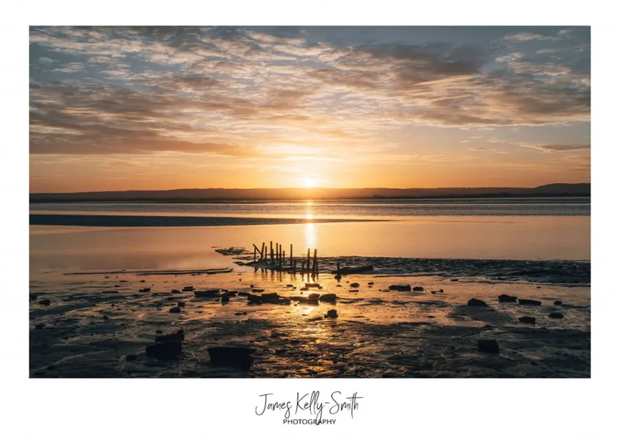 Golden sunset rays filtering through dense forest canopy
