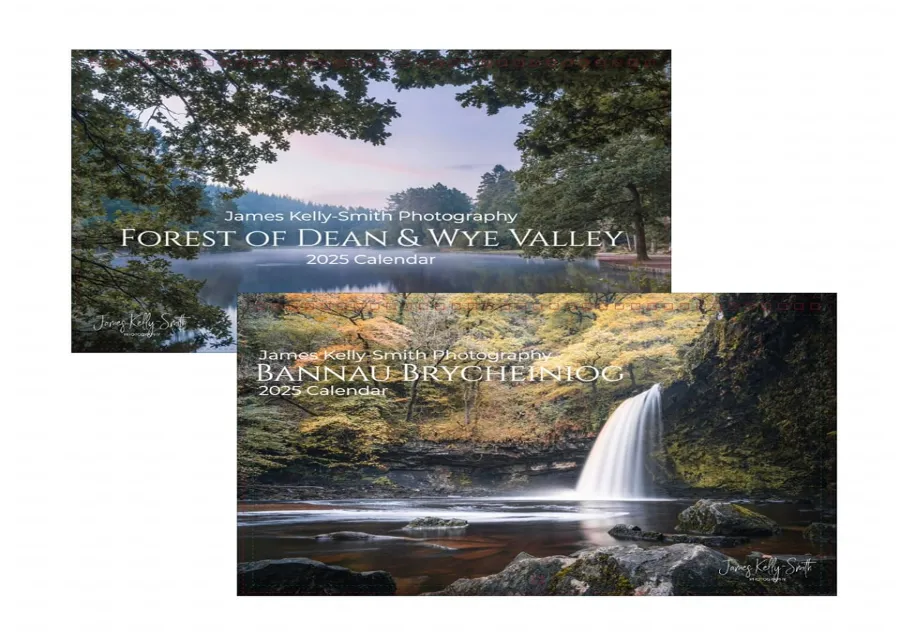 Red fox walking through autumn forest undergrowth